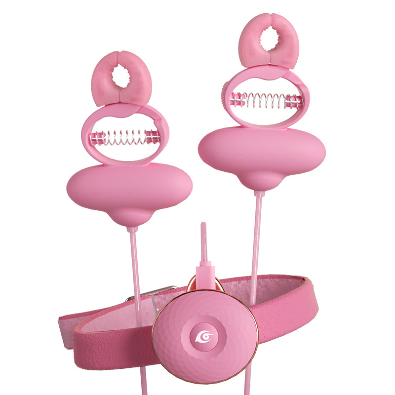 Remote Control Nipple Clamps Vibrator - Pink Neck Restriants BDSM Sex Toys for Women