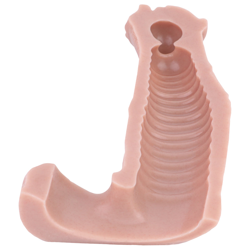 Fantasy Horsedildo Cock Sleeve Condom - Realistic Animal Penis Sheath Sex Toys for Men