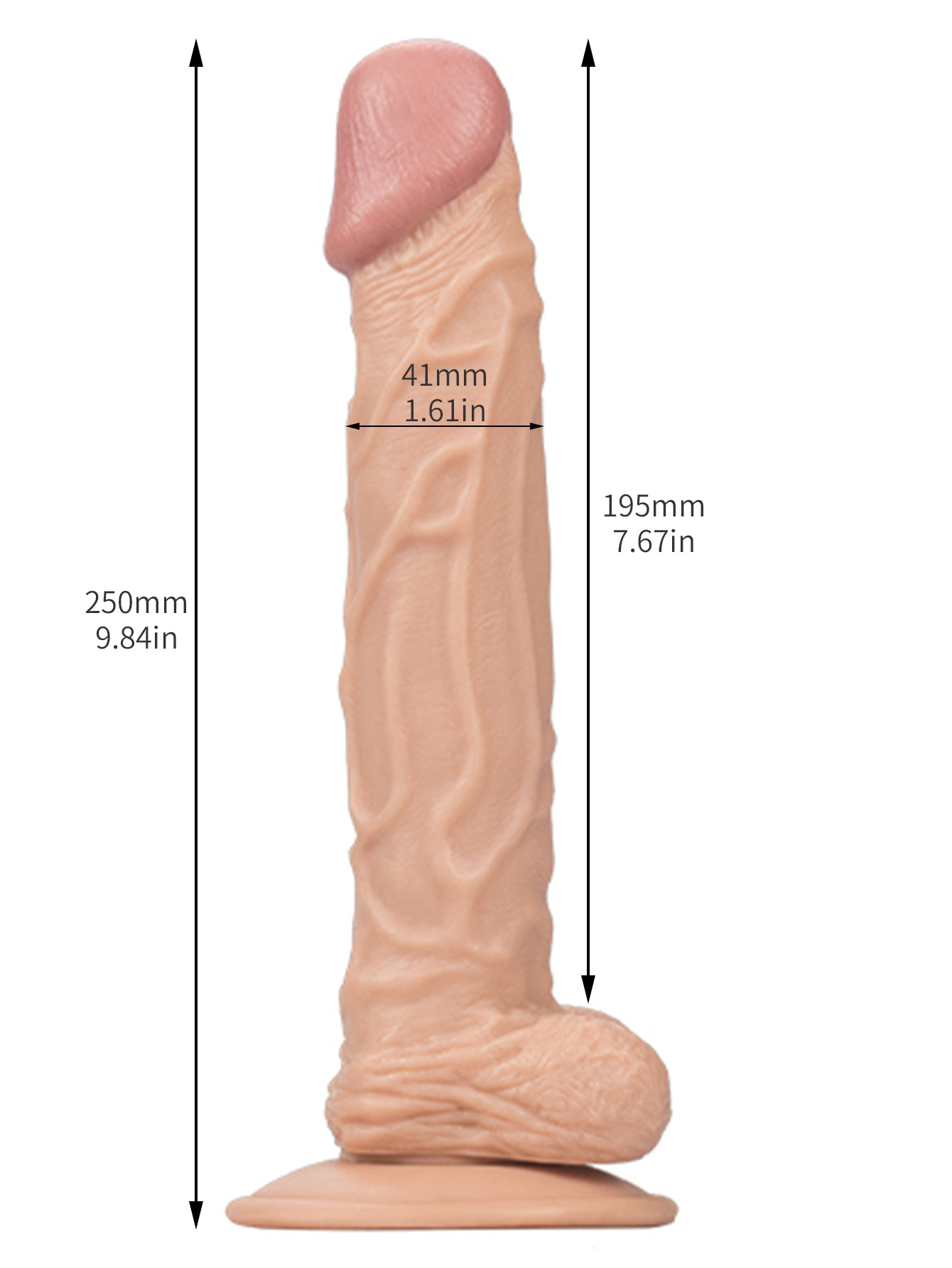 Gode ​​réaliste de 10 pouces de Long-jouets sexuels réalistes de petits testicules de gland de veine pour les femmes