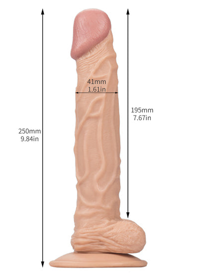 10 Zoll langer realistischer Dildo – lebensechte Ader-Eichel, kleine Hoden, Sexspielzeug für Frauen
